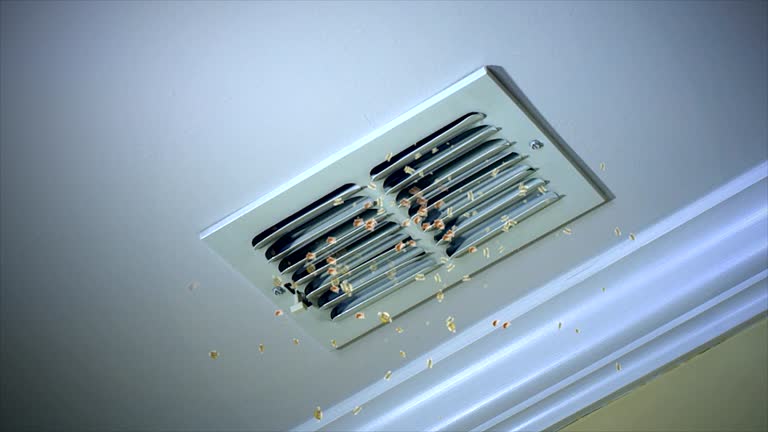 Best Dryer Vent Cleaning Services  in St Bonifacius, MN