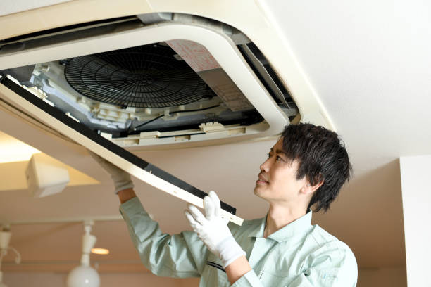 Best Home Air Vent Cleaning  in St Bonifacius, MN