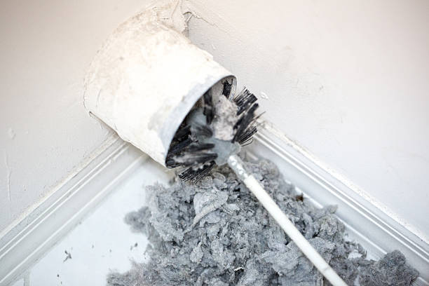 Best HVAC Air Duct Cleaning  in St Bonifacius, MN